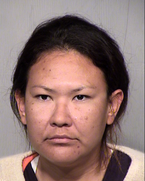 DIANA F MULLINS Mugshot / Maricopa County Arrests / Maricopa County Arizona