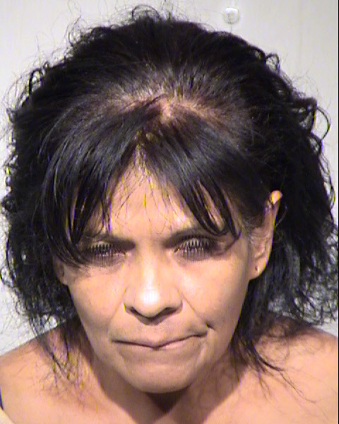 LUZ FERNANDEZ Mugshot / Maricopa County Arrests / Maricopa County Arizona