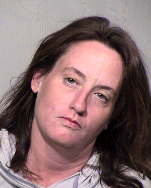 EMILY KAREN EVANS Mugshot / Maricopa County Arrests / Maricopa County Arizona