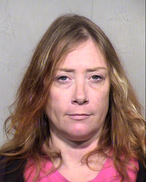 VICKI LYNN TRINNEER Mugshot / Maricopa County Arrests / Maricopa County Arizona