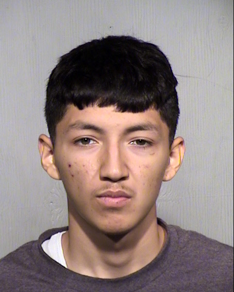 LORENZO ANTONIO LUNA ORTIZ Mugshot / Maricopa County Arrests / Maricopa County Arizona