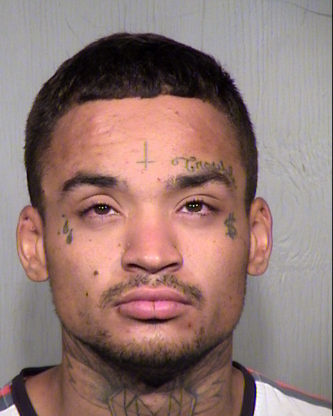 STEVEN MICHAEL CASTILLO Mugshot / Maricopa County Arrests / Maricopa County Arizona