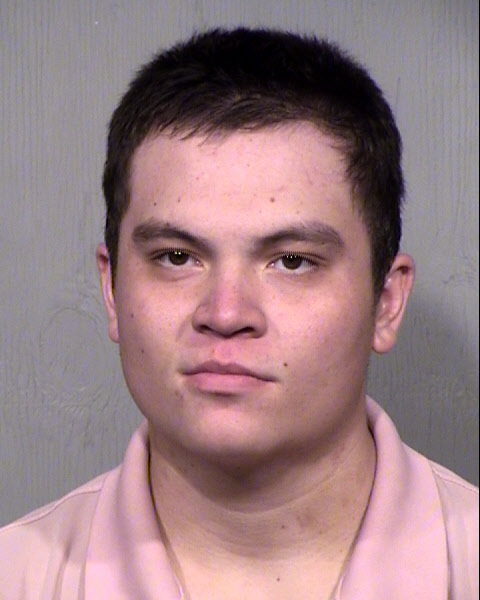 TYLER HOUSTON REIS Mugshot / Maricopa County Arrests / Maricopa County Arizona