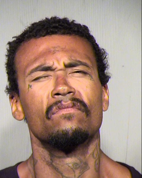 GEORGE A DRAKE Mugshot / Maricopa County Arrests / Maricopa County Arizona