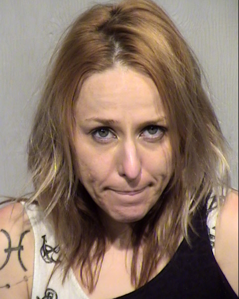 SARAH FRANCES RICHARDSON Mugshot / Maricopa County Arrests / Maricopa County Arizona