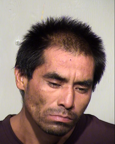 PATRICK DALE SCHENALLY Mugshot / Maricopa County Arrests / Maricopa County Arizona