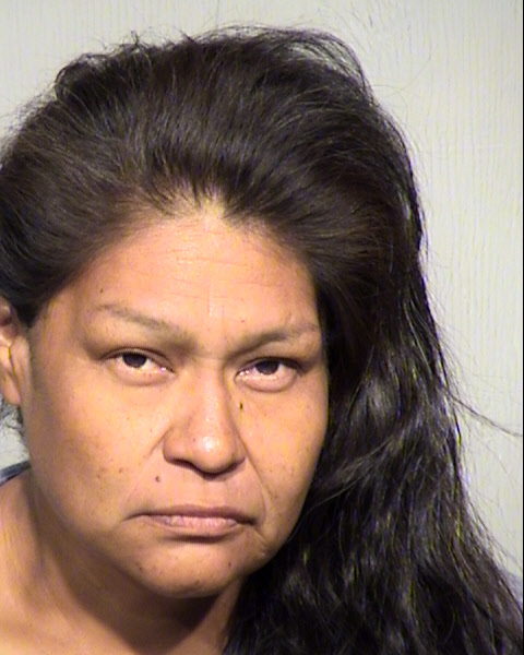 YVONNE LYNN FRECHETTE Mugshot / Maricopa County Arrests / Maricopa County Arizona