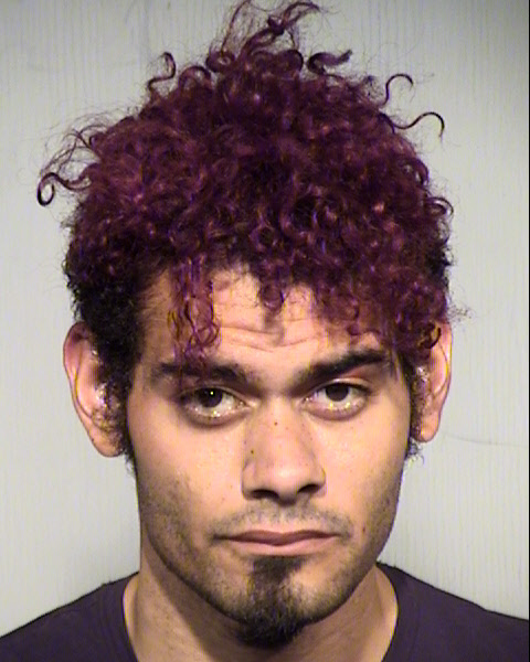 SATCHEL HARRIS WILLIAMS Mugshot / Maricopa County Arrests / Maricopa County Arizona