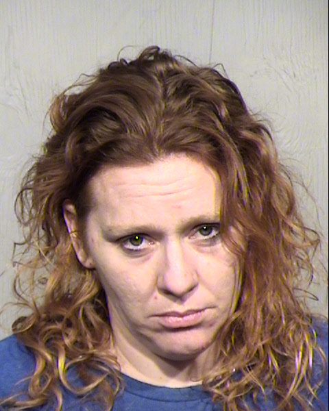 AMBER LEE LEVY Mugshot / Maricopa County Arrests / Maricopa County Arizona