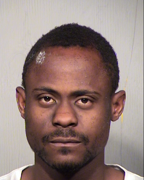 DAVID LEE HAMILTON Mugshot / Maricopa County Arrests / Maricopa County Arizona