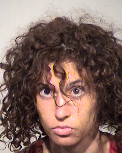 JESSICA JASMINE IBARRA Mugshot / Maricopa County Arrests / Maricopa County Arizona