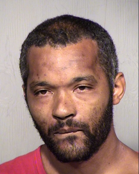 STEPHAN EDWARD DAVIS Mugshot / Maricopa County Arrests / Maricopa County Arizona