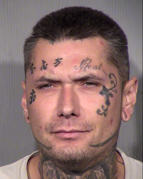 ADAM FIELDING WEBB Mugshot / Maricopa County Arrests / Maricopa County Arizona