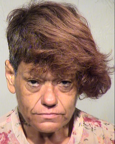 DOLORES L NAZZARO Mugshot / Maricopa County Arrests / Maricopa County Arizona