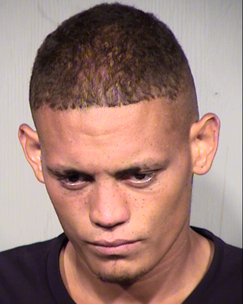 SHANE MICHAEL NEPPLE Mugshot / Maricopa County Arrests / Maricopa County Arizona