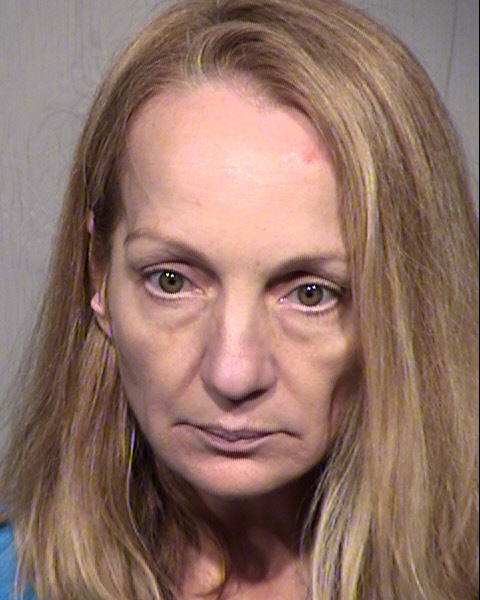 ANA MARIE VASILY Mugshot / Maricopa County Arrests / Maricopa County Arizona