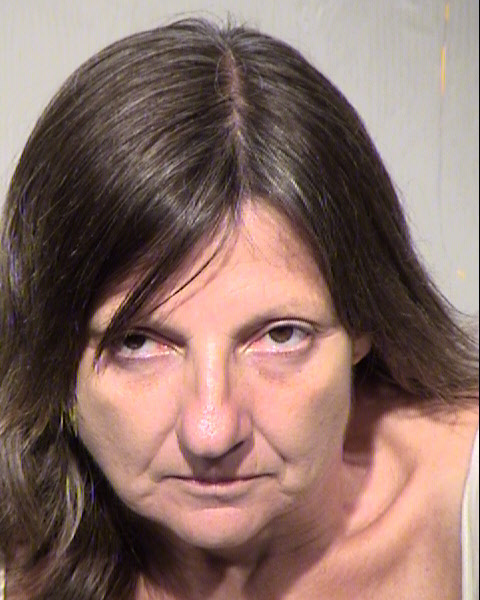MITZI LYNNE SOYLAND Mugshot / Maricopa County Arrests / Maricopa County Arizona