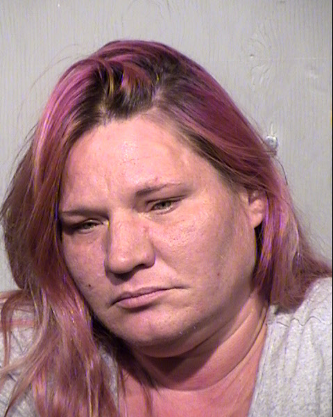 SANDRA L SOMERS Mugshot / Maricopa County Arrests / Maricopa County Arizona