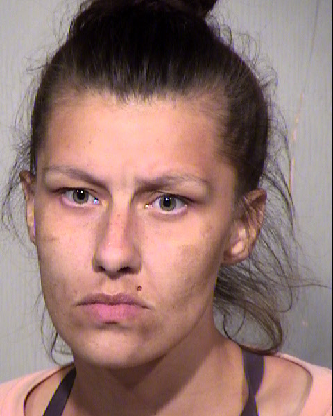 MEAGAN DANIELLE VILLALOVOS Mugshot / Maricopa County Arrests / Maricopa County Arizona