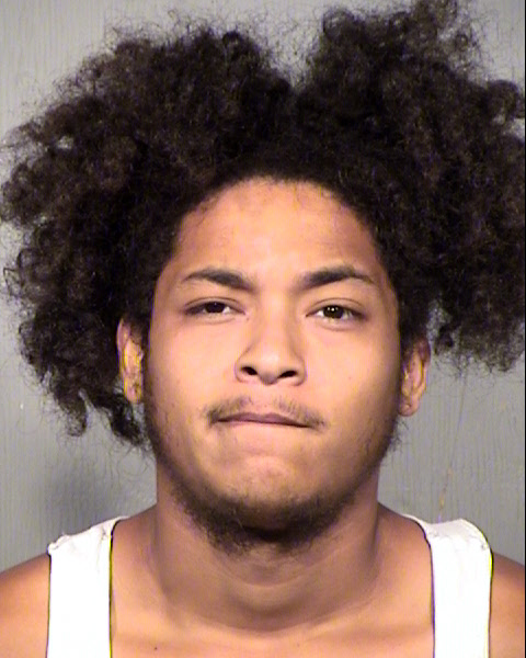 NELSON MENDOZA LOPEZ Mugshot / Maricopa County Arrests / Maricopa County Arizona