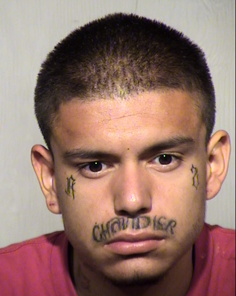 ESTEPHAN WOLFE Mugshot / Maricopa County Arrests / Maricopa County Arizona