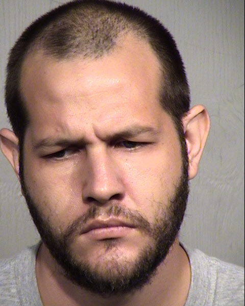 ROBERT ALAN SEYER Mugshot / Maricopa County Arrests / Maricopa County Arizona