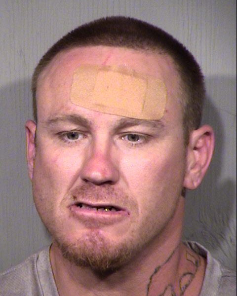 DUSTIN RYAN PERLEY Mugshot / Maricopa County Arrests / Maricopa County Arizona