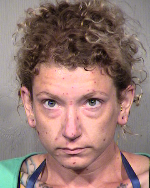 SHANNON KATHLEEN BARNARD Mugshot / Maricopa County Arrests / Maricopa County Arizona