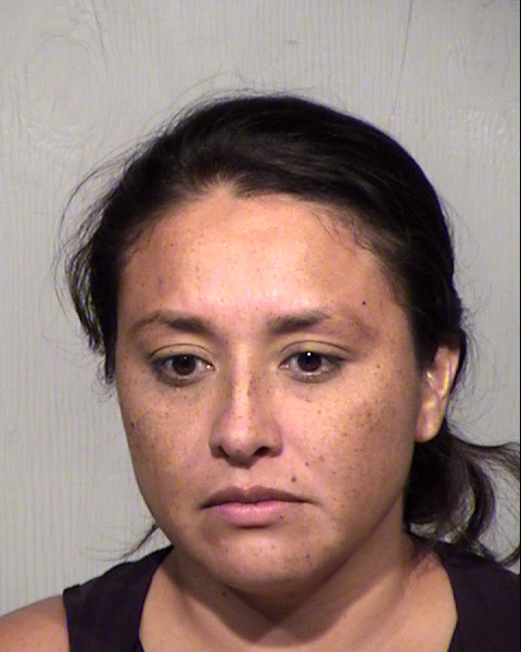 LUZ M FERNANDEZ Mugshot / Maricopa County Arrests / Maricopa County Arizona