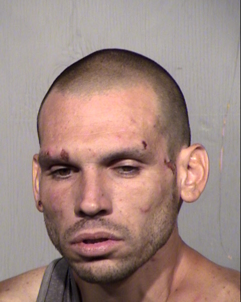 ROBERT THOMAS FRUCCI Mugshot / Maricopa County Arrests / Maricopa County Arizona