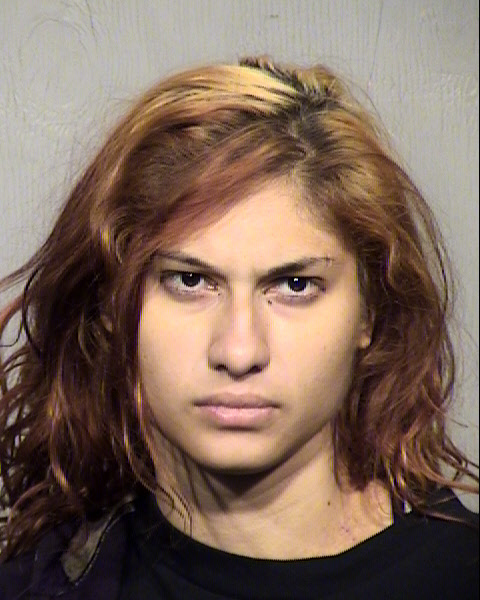 REBECCA VIOLA LARKIN Mugshot / Maricopa County Arrests / Maricopa County Arizona