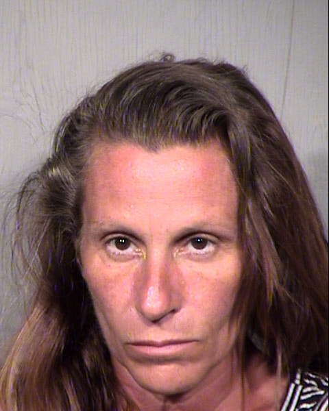 CHRISTINE A OBRIEN Mugshot / Maricopa County Arrests / Maricopa County Arizona