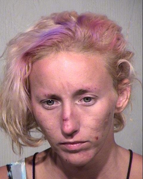 AUDREY ELIZABETH KNIGHTS Mugshot / Maricopa County Arrests / Maricopa County Arizona