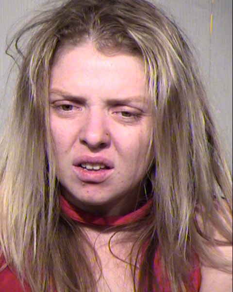 RAYA IRAKLIEV Mugshot / Maricopa County Arrests / Maricopa County Arizona