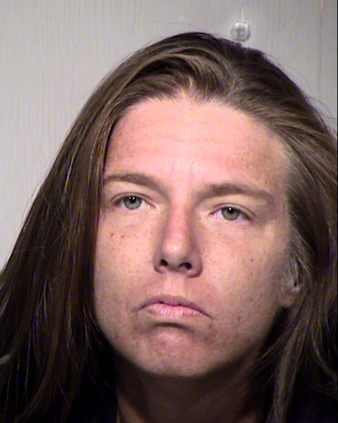 CORRINE MICHELE PELFREE Mugshot / Maricopa County Arrests / Maricopa County Arizona
