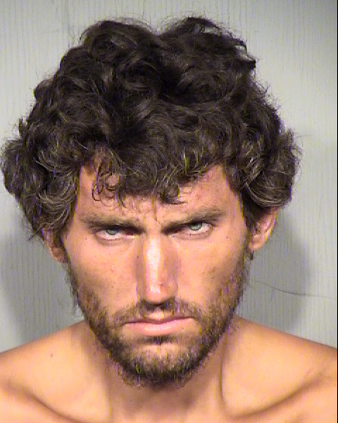 FRANCIS MITCHELL SKILNIK Mugshot / Maricopa County Arrests / Maricopa County Arizona