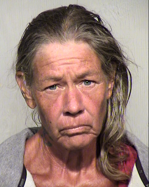 JOAN LEE BOZMOSKI Mugshot / Maricopa County Arrests / Maricopa County Arizona