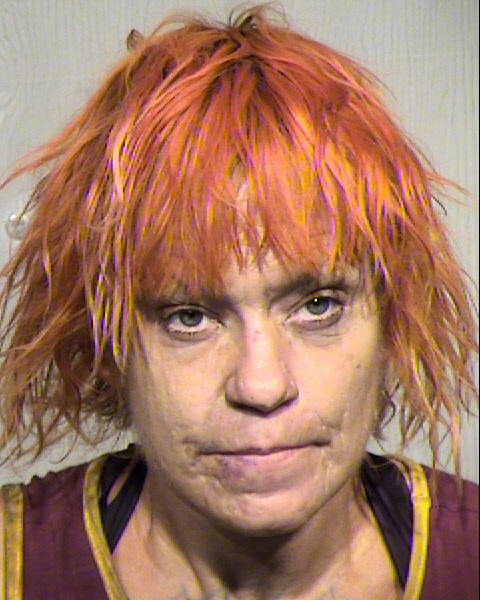 ROBIN LYNN THOMPSON Mugshot / Maricopa County Arrests / Maricopa County Arizona