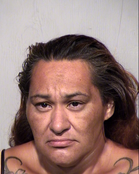 SANDRA M NAVA Mugshot / Maricopa County Arrests / Maricopa County Arizona