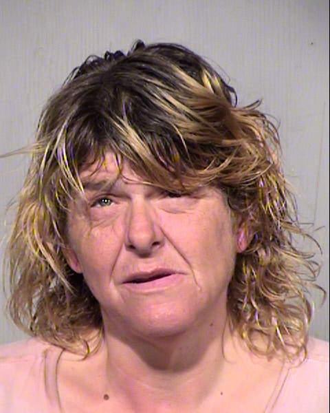 SHARON MARIE NORRIS Mugshot / Maricopa County Arrests / Maricopa County Arizona