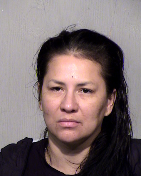 SANDRA ELENA VAN ENGLEHOVEN Mugshot / Maricopa County Arrests / Maricopa County Arizona