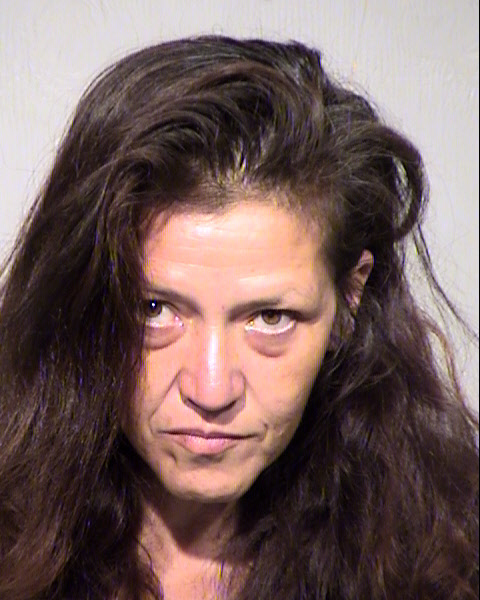 MARY LOU HINDS Mugshot / Maricopa County Arrests / Maricopa County Arizona