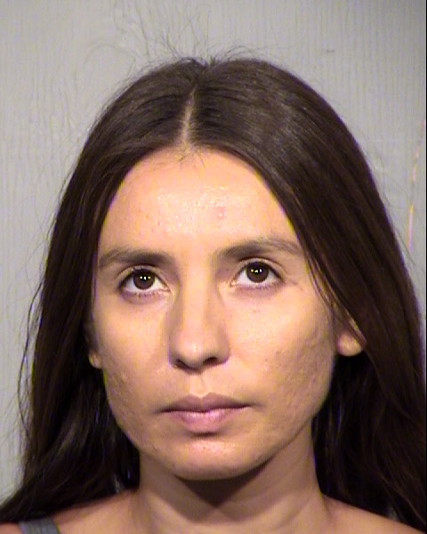 SHANNON LYNN STEALY Mugshot / Maricopa County Arrests / Maricopa County Arizona