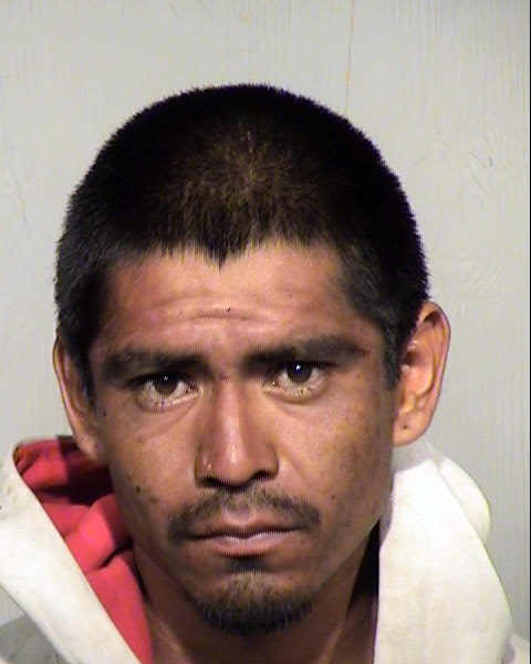 ELSON ELWOOD LANZA Mugshot / Maricopa County Arrests / Maricopa County Arizona