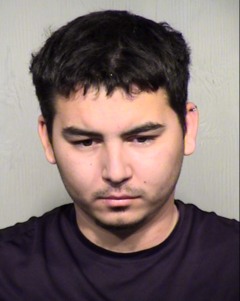 BLAKE ANDREW THOMASON Mugshot / Maricopa County Arrests / Maricopa County Arizona