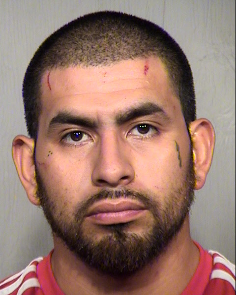 LUIS ALBERTO GARCIA Mugshot / Maricopa County Arrests / Maricopa County Arizona
