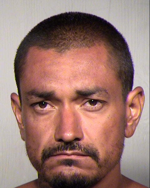 DAVID LEE DELGADO Mugshot / Maricopa County Arrests / Maricopa County Arizona