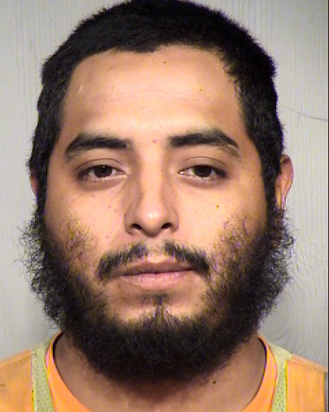 SERJIO VALLES LABRADA Mugshot / Maricopa County Arrests / Maricopa County Arizona