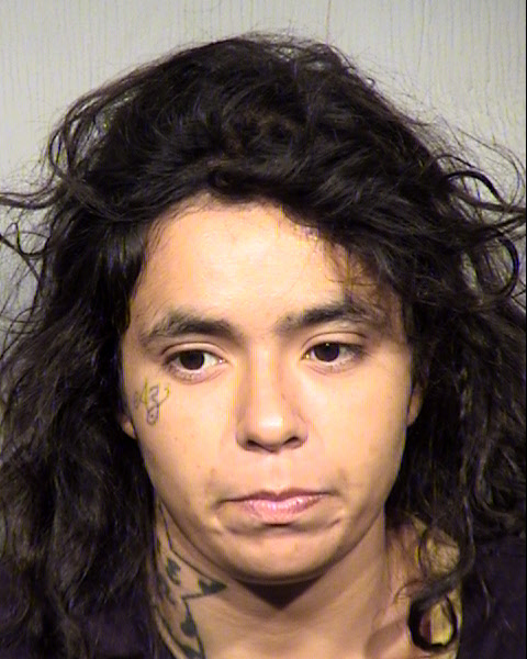 MARY LOU OCHOA Mugshot / Maricopa County Arrests / Maricopa County Arizona