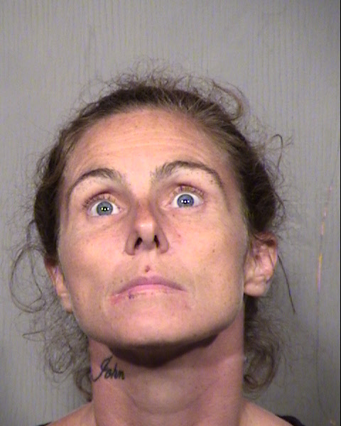 TABITHA D HINES Mugshot / Maricopa County Arrests / Maricopa County Arizona